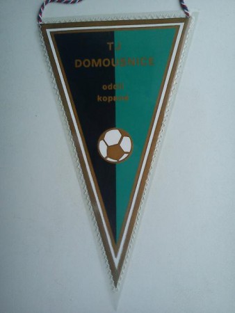DOMOUSNICE TJ -22-
